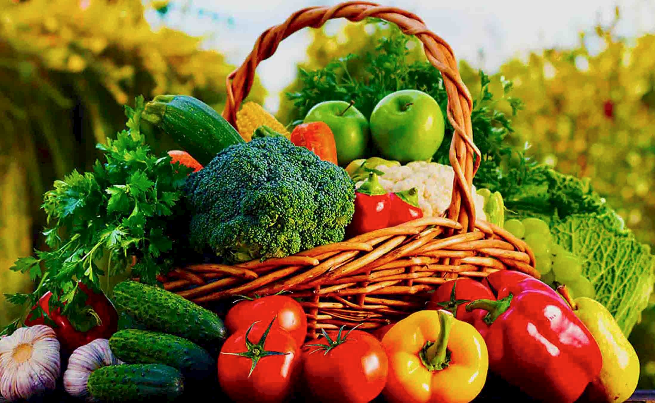 Better Efficiency in Agriculture and Horticulture with ISIJET heaters
